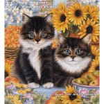 (image for) Sunflower Duet